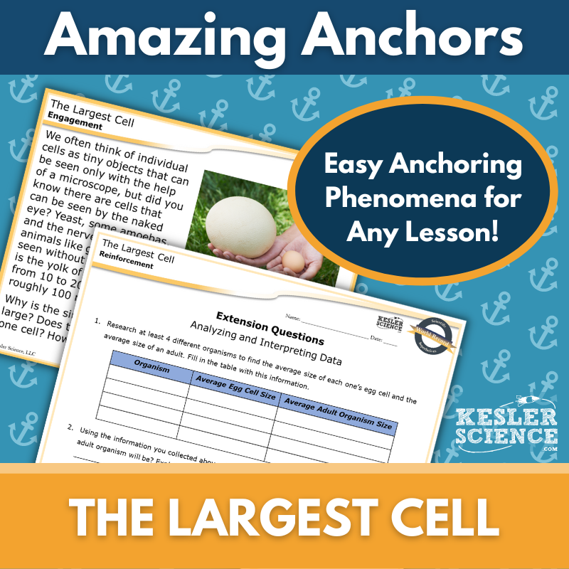 Amazing Anchors Unicellular & Multicellular (The Largest Cell) - MS 6-8