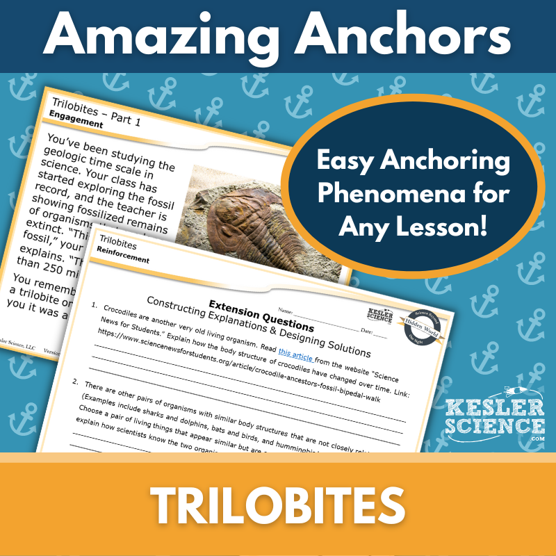 Amazing Anchors Comparative Anatomy (Trilobites) - NGSS MS LS4-2