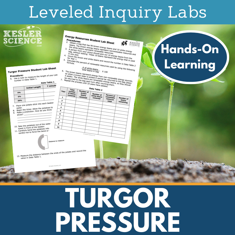 Tropisms & Turgor Pressure Inquiry Lab - MS 6-8 Science