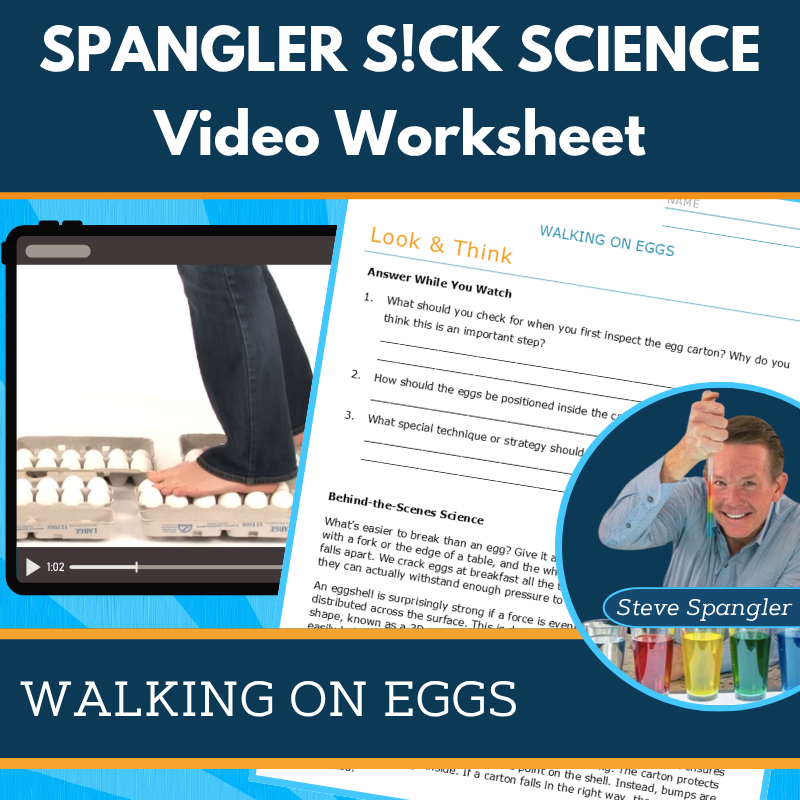 Walking on Eggs - Spangler Video Worksheets with CER