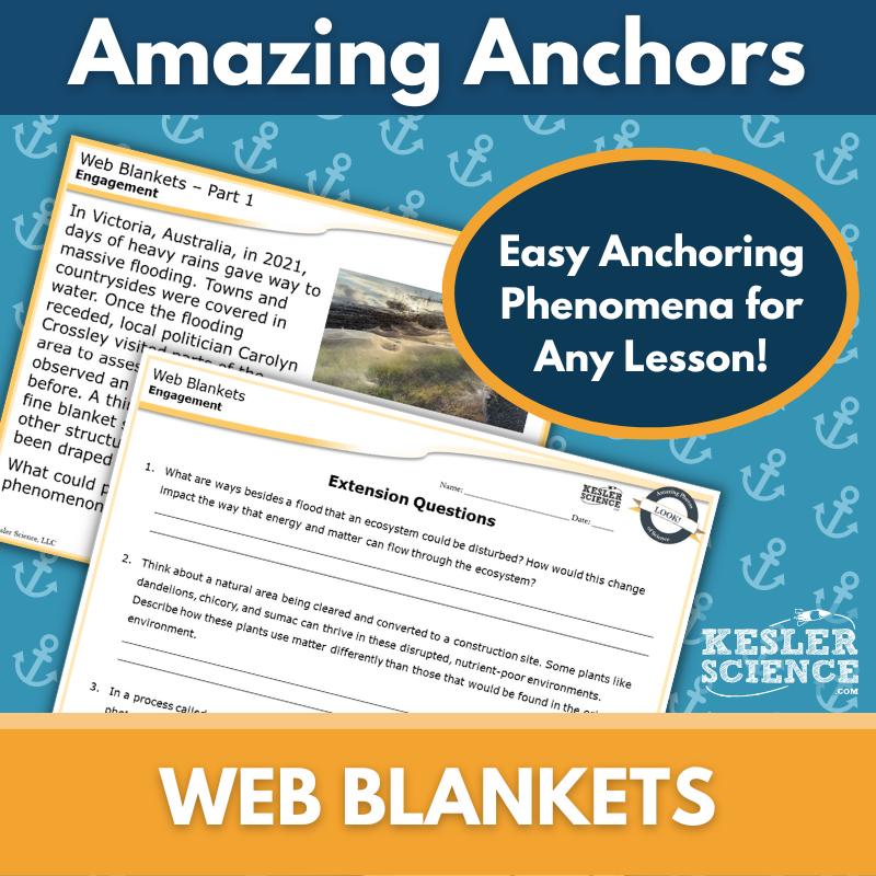 Amazing Anchors Responding to External Stimuli (Web Blankets) - MS 6-8
