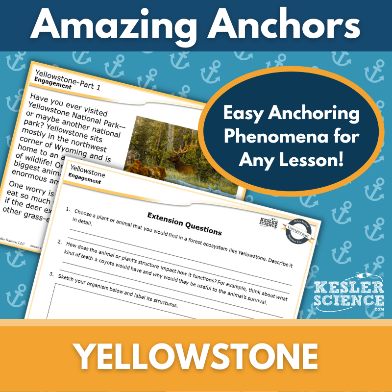 Amazing Anchors Biotic & Abiotic Factors (Yellowstone) - MS 6-8