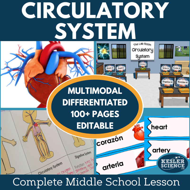 Circulatory System Complete Lesson Plan - MS