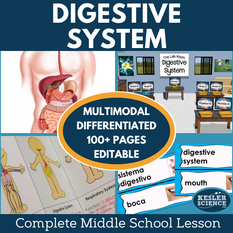 Digestive System Complete Lesson Plan - MS