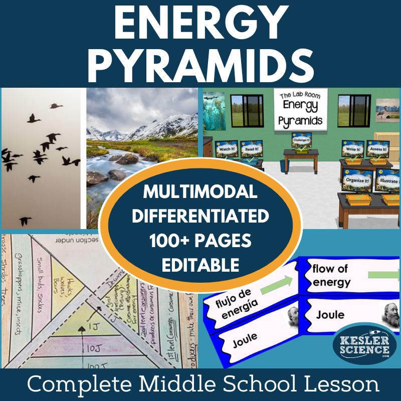 Energy Pyramids Complete Lesson Plan - MS
