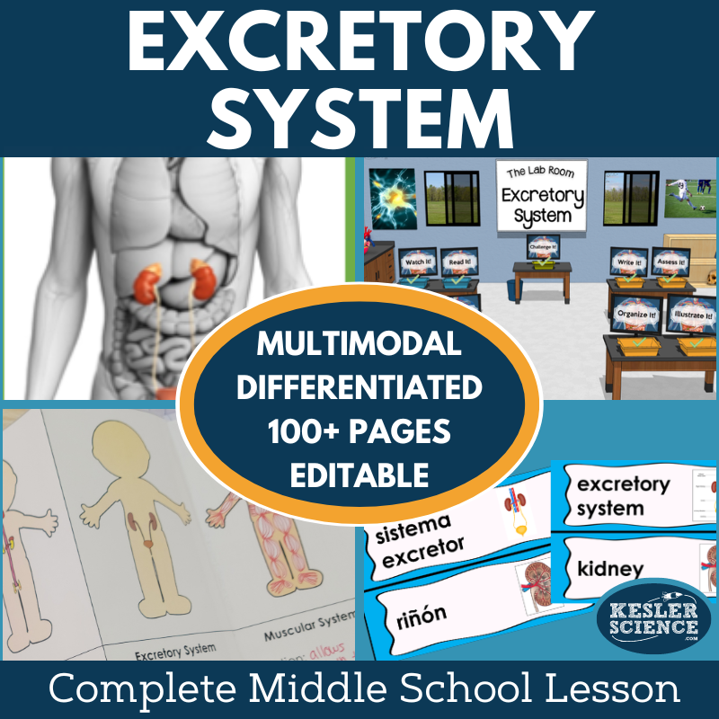 Excretory System Complete Lesson Plan - MS
