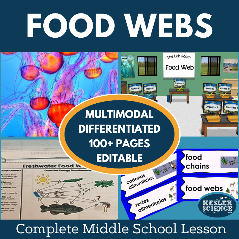 Food Webs & Food Chains Complete Lesson Plan - MS