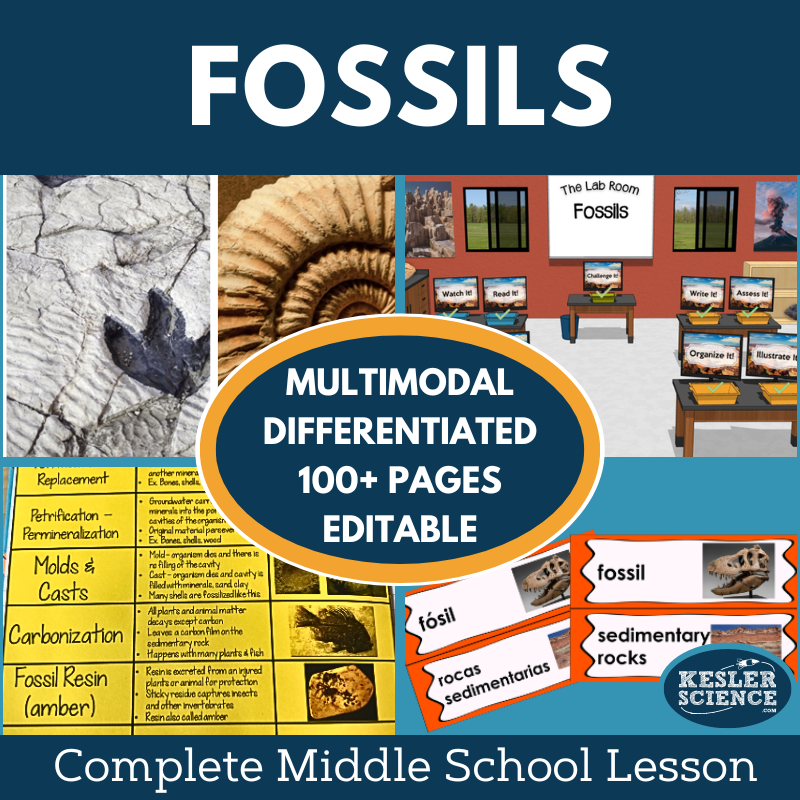 Fossils Complete Lesson Plan - MS