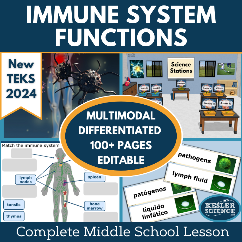 Immune System Functions Complete Science Lesson - New TEKS 7.13A