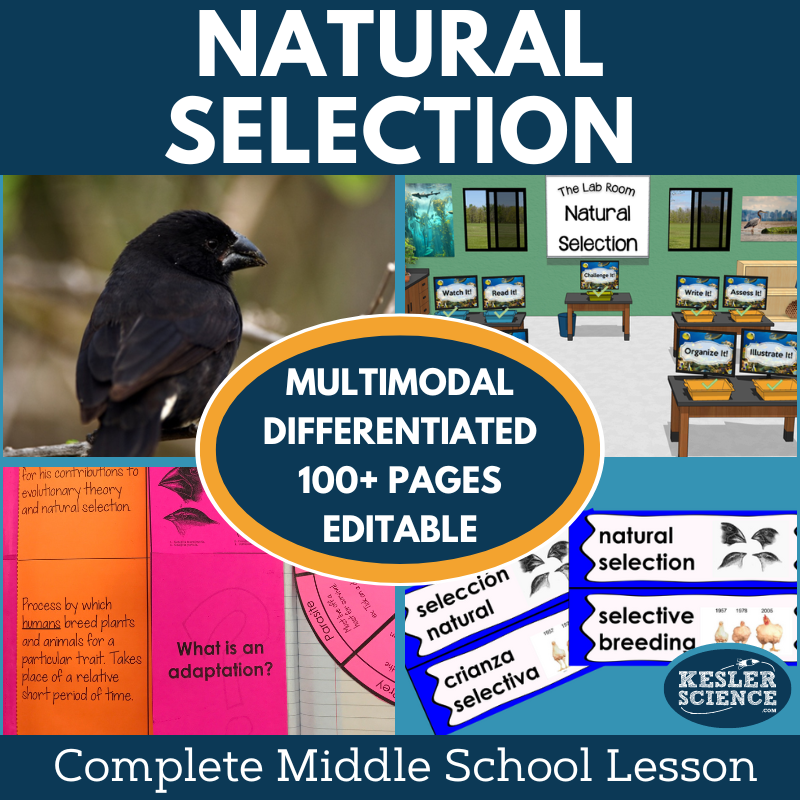 Natural Selection Complete Lesson Plan - MS