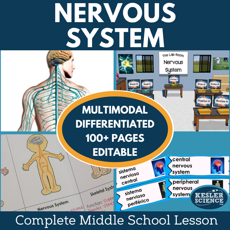 Nervous System Complete Lesson Plan - MS
