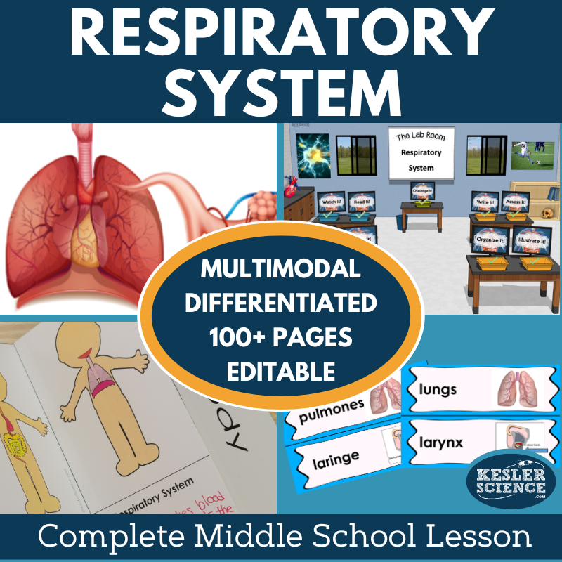 Respiratory System Complete Lesson Plan - MS