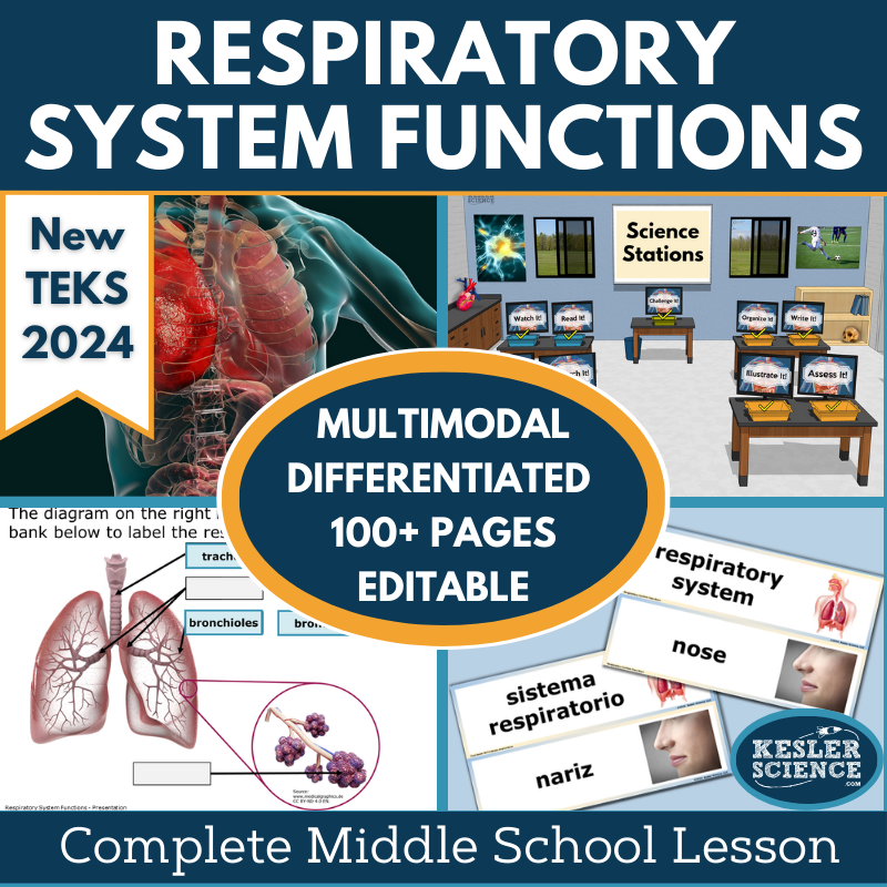 Respiratory System Functions Complete Science Lesson - New TEKS 7.13A