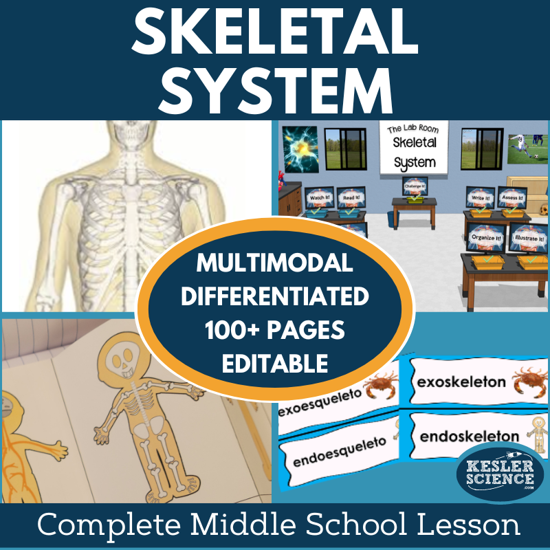 Skeletal System Complete Lesson Plan - MS