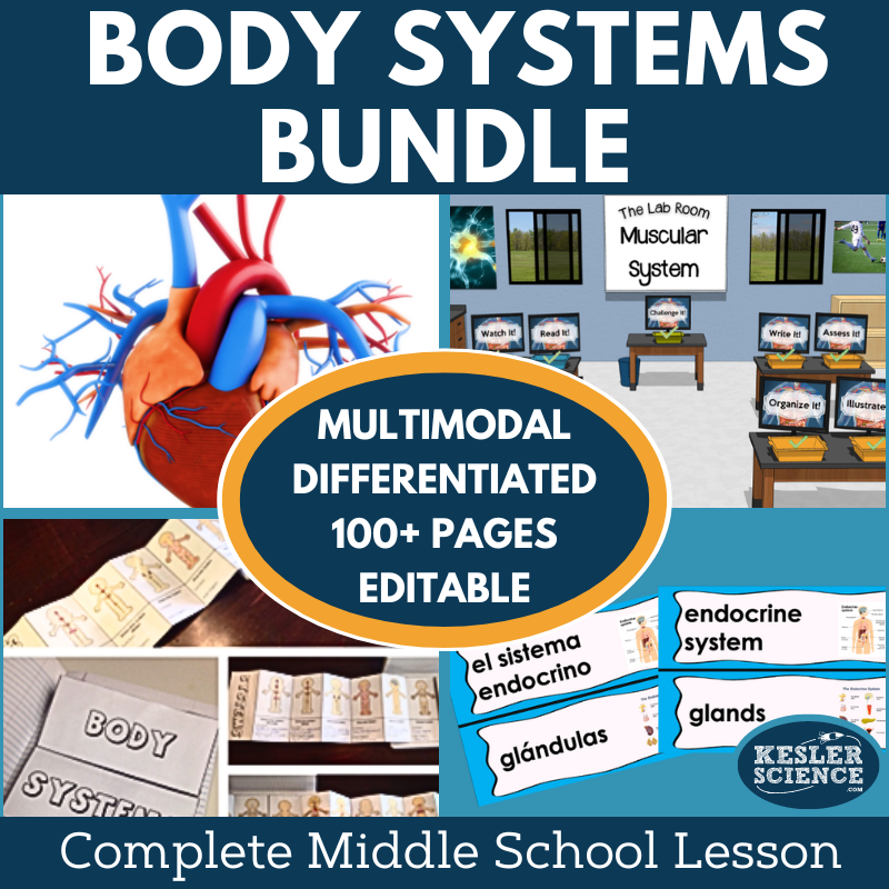 MS 6-8 Body Systems 5E Lessons Bundle