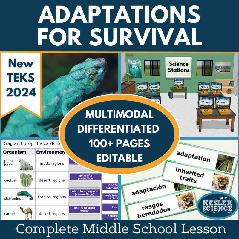 Adaptations for Survival Complete Science Lesson - New TEKS 8.13C