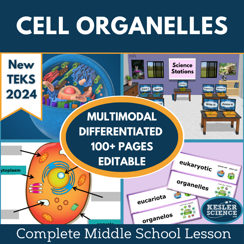 Cell Organelles Complete Science Lesson - New TEKS 8.13A