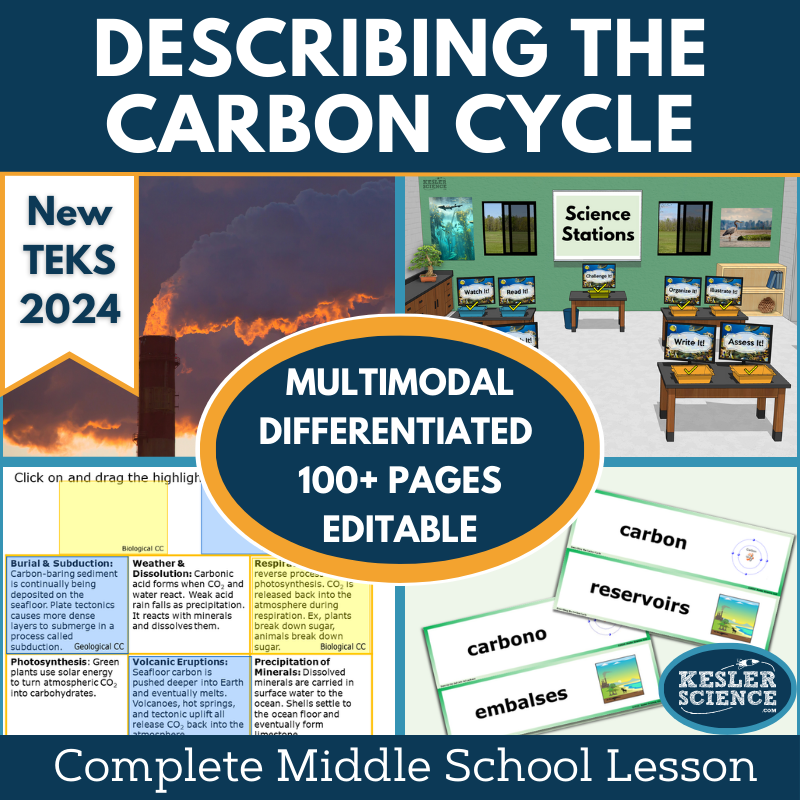 Describing the Carbon Cycle Complete Science Lesson - New TEKS 8.11C