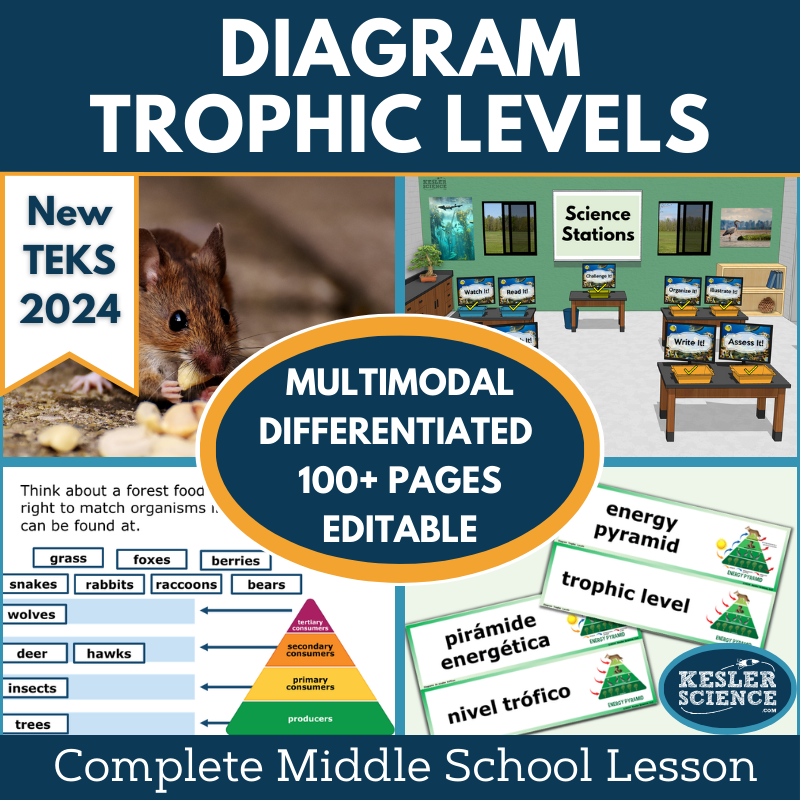Diagram Trophic Levels Complete Science Lesson - New TEKS 7.12A
