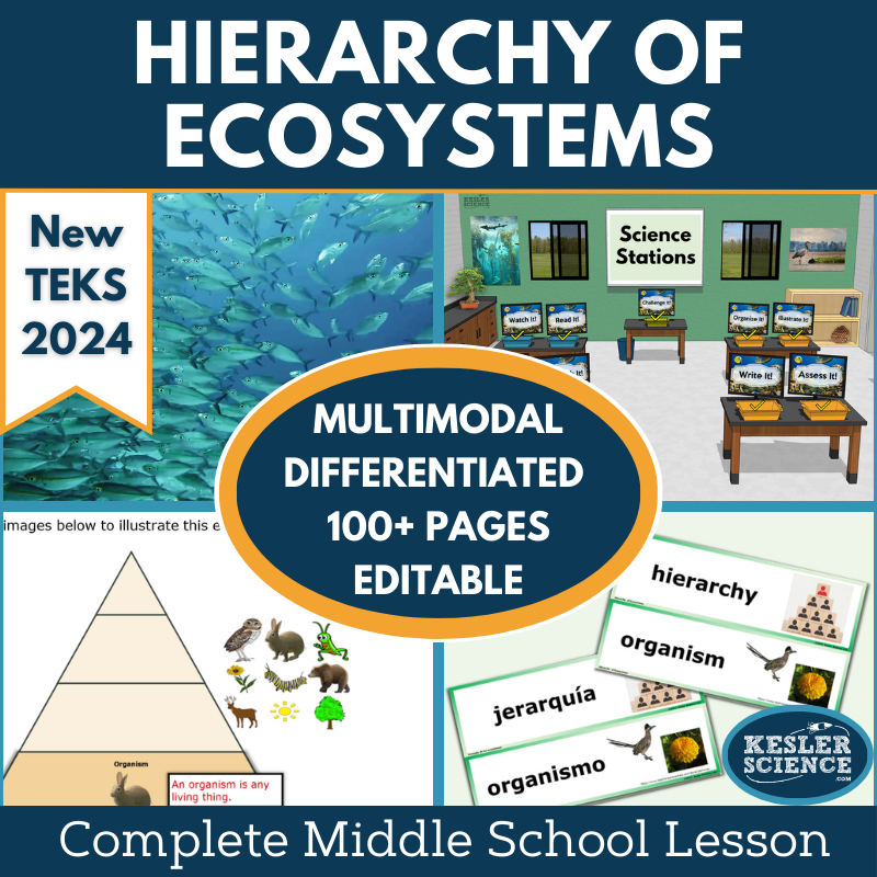 Hierarchy of Ecosystems Complete Science Lesson - New TEKS 6.12C