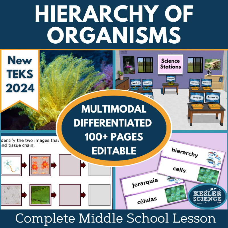 Hierarchy of Organisms Complete Science Lesson - New TEKS 7.13B
