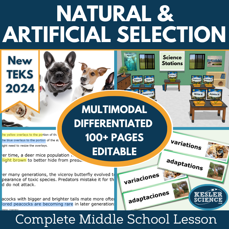 Natural & Artificial Selection Complete Science Lesson - New TEKS 7.13D