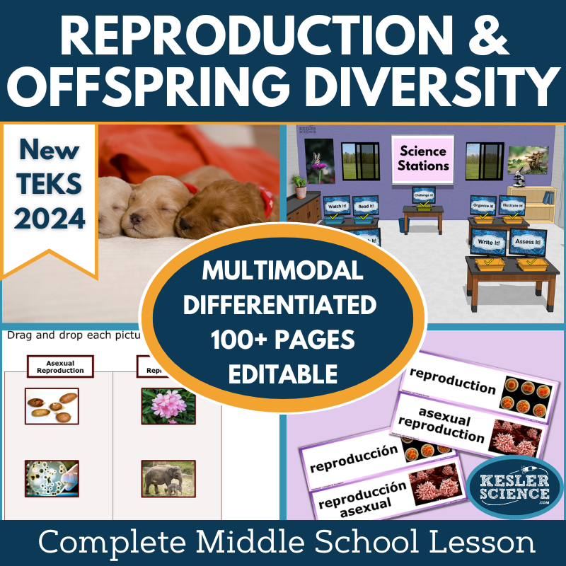 Reproduction & Offspring Diversity Complete Science Lesson - MS New TEKS 7.13C