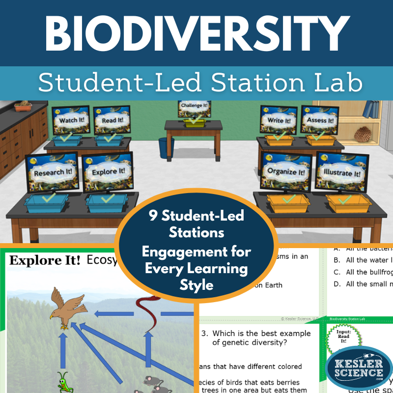 Biodiversity Station Lab - MS