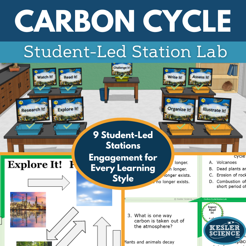 Carbon Cycle Station Lab - MS