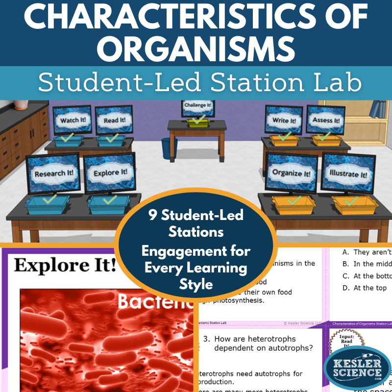 Characteristics of Organisms Station Lab - MS