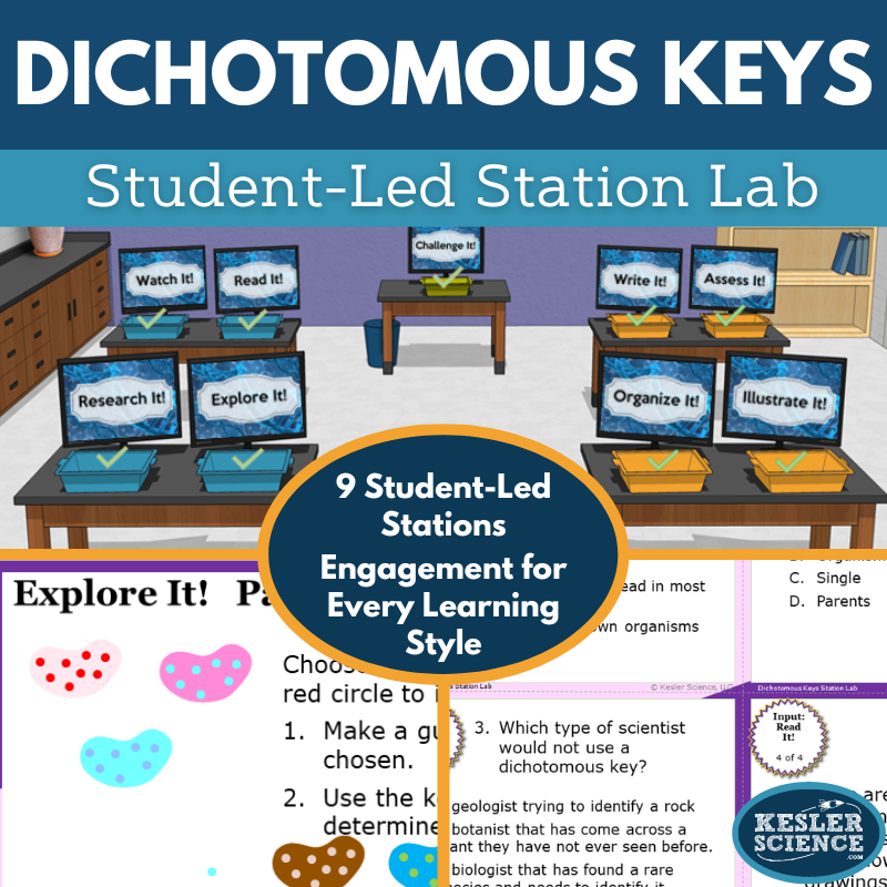 Dichotomous Keys Station Lab - MS