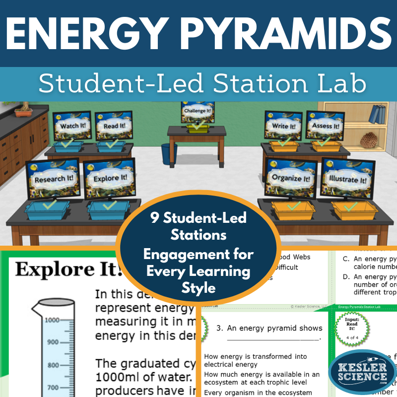 Energy Pyramids Station Lab - MS