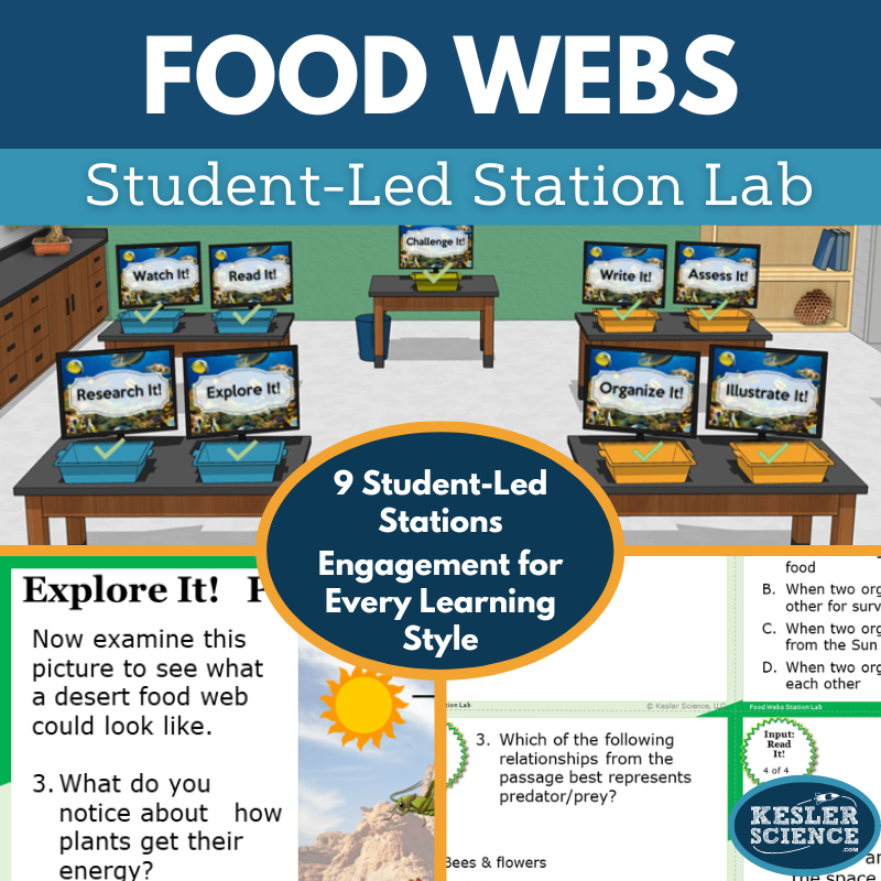 Food Webs & Food Chains Station Lab - MS