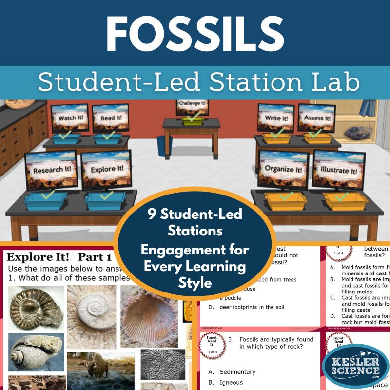 Fossils Station Lab - MS