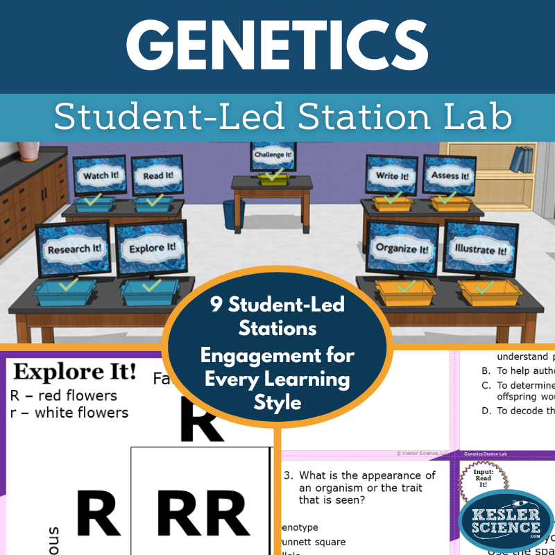 Genetics Station Lab - MS