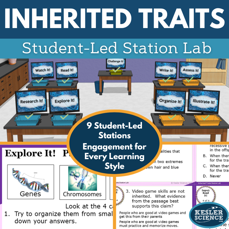 Inherited Traits & DNA Station Lab - MS
