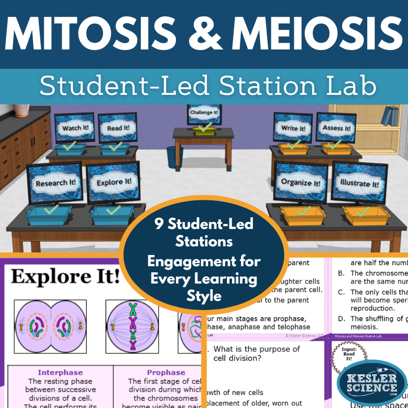 Mitosis & Meiosis Station Lab - MS