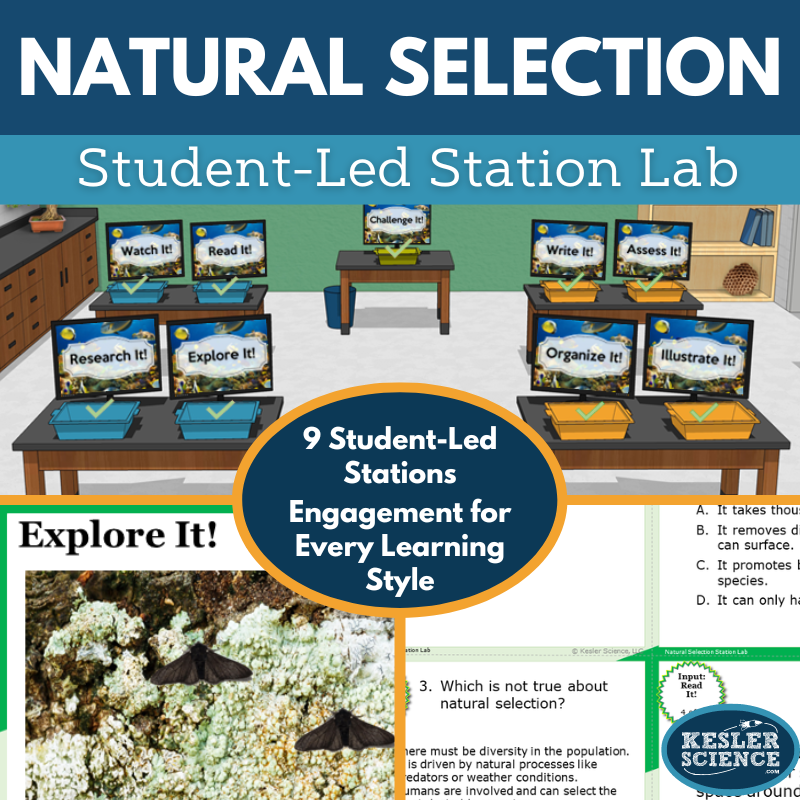 Natural Selection Station Lab - MS
