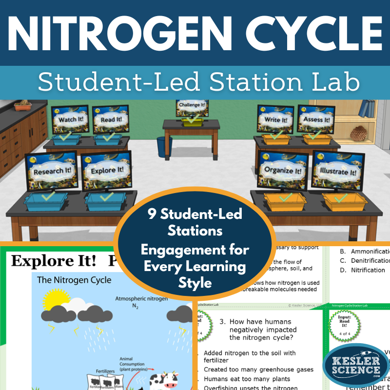Nitrogen Cycle Station Lab - MS