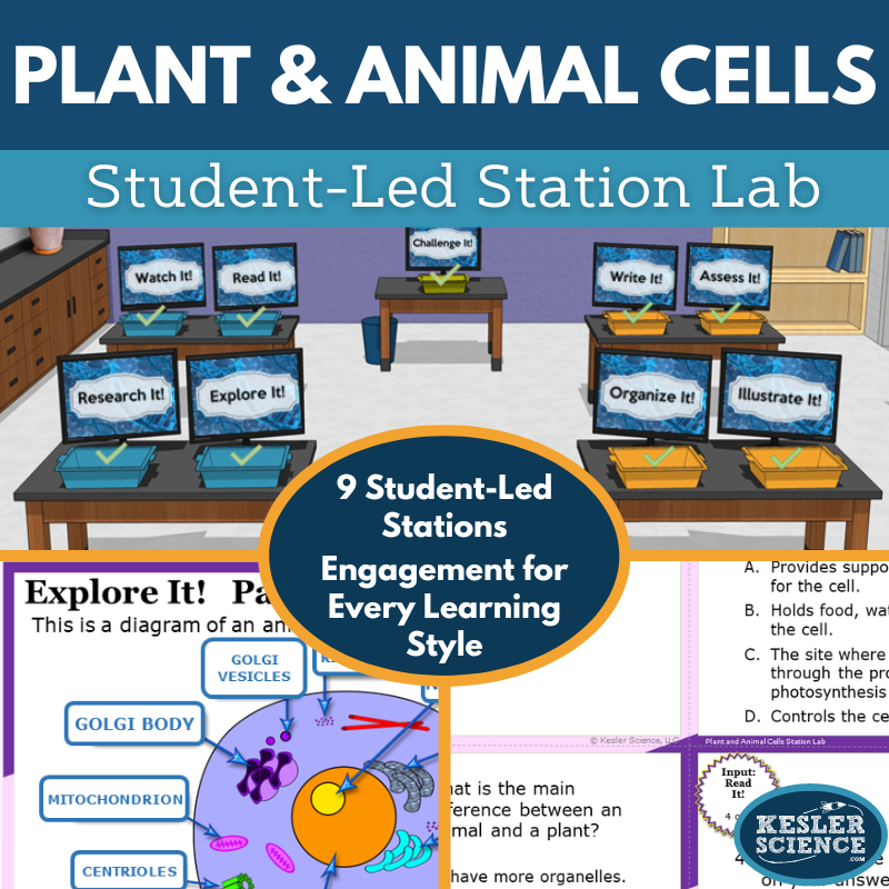 Plant & Animal Cells Station Lab - MS