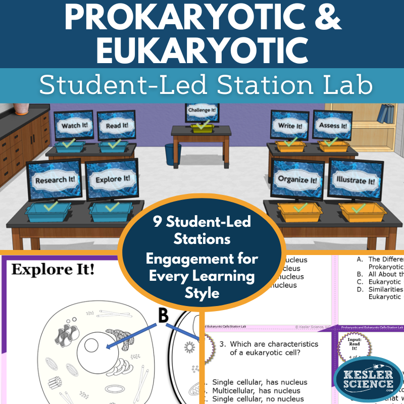 Prokaryotic & Eukaryotic Cells Station Lab - MS