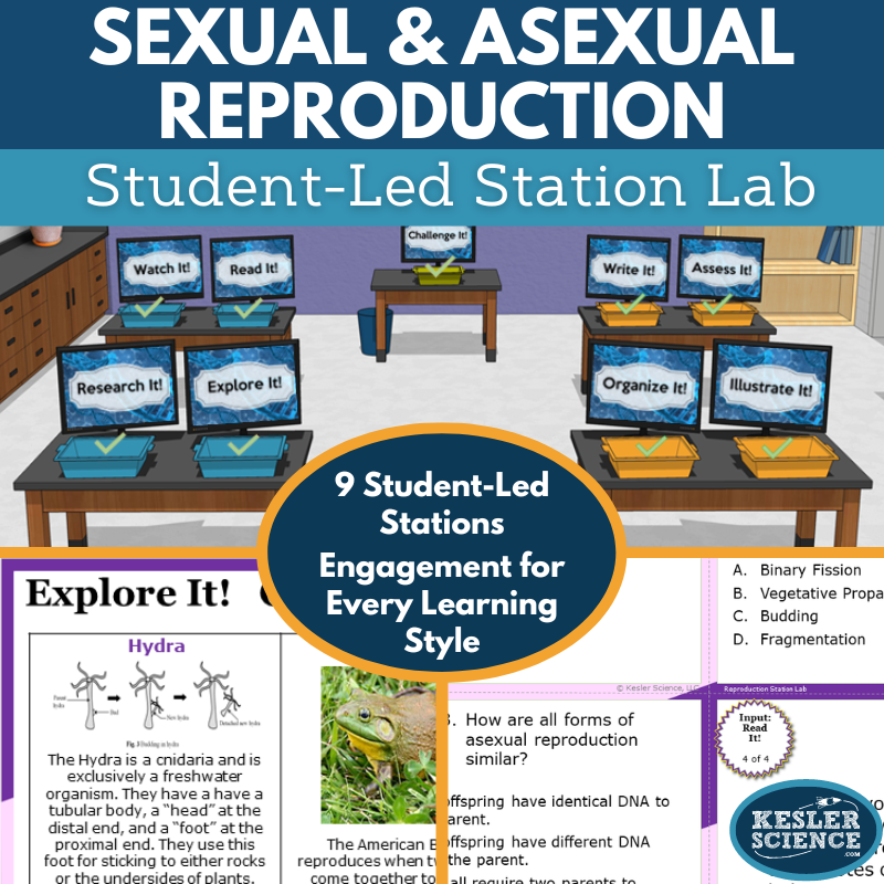 Sexual & Asexual Reproduction Station Lab - MS