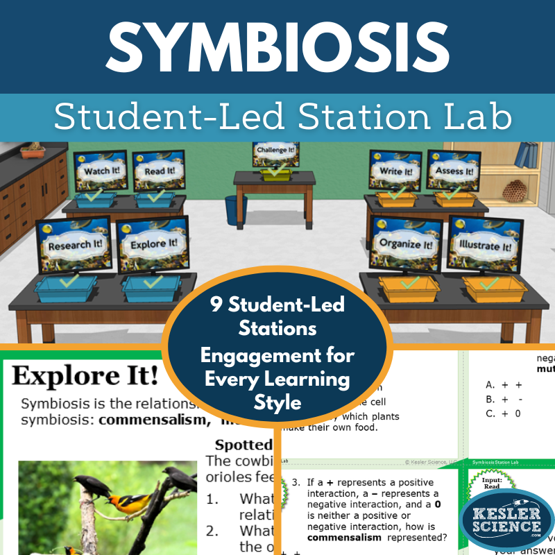Symbiosis Station Lab - MS