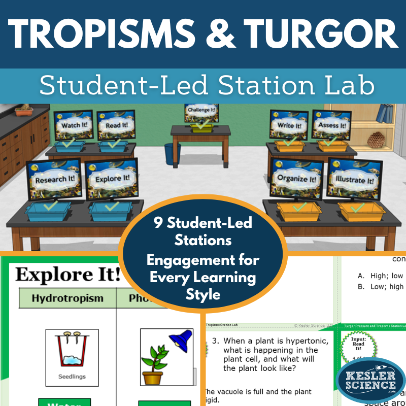 Tropisms & Turgor Pressure Station Lab - MS
