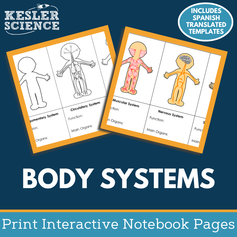 Body Systems Interactive Notebook Pages - Paper INB - MS 6-8