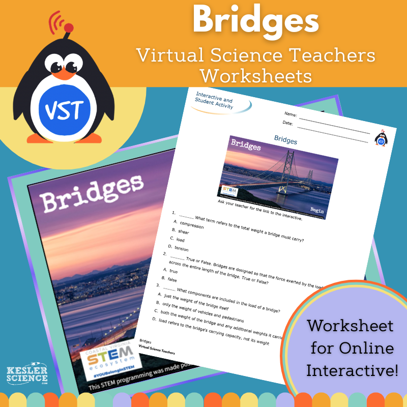 Bridges Worksheet - VST
