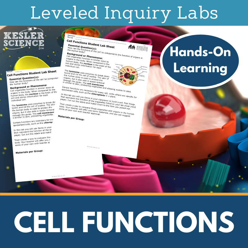 Cell Functions Inquiry Lab - MS 6-8 Science TEKS