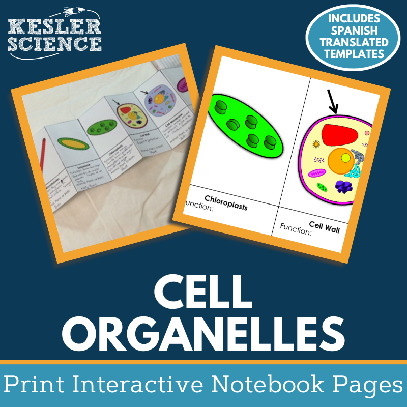 Cell Organelles Interactive Notebook Pages - Paper INB - MS 6-8