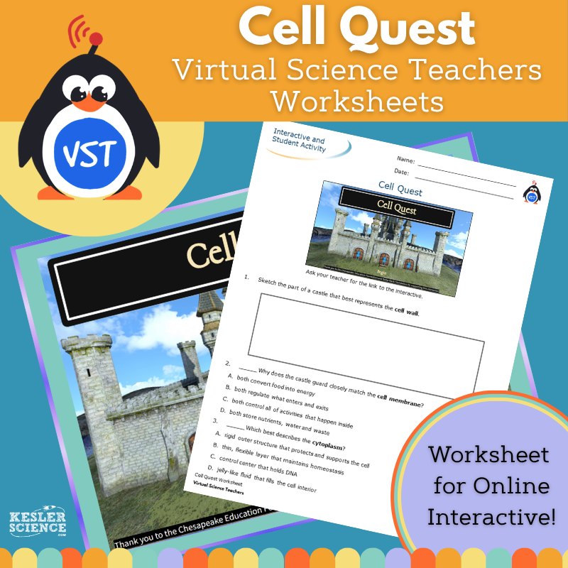 Cell Quest - Adventure & Worksheet - VST