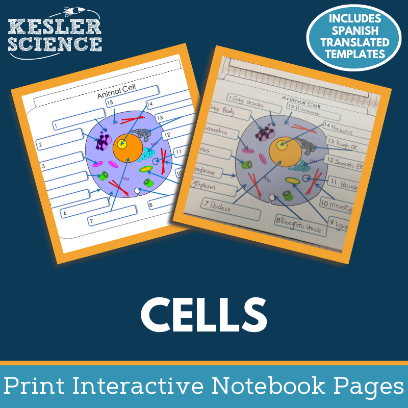 Plant & Animal Cells Interactive Notebook Pages - Paper INB - MS 6-8